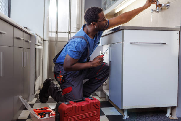 Best Residential Plumbing Services  in Republic, MO